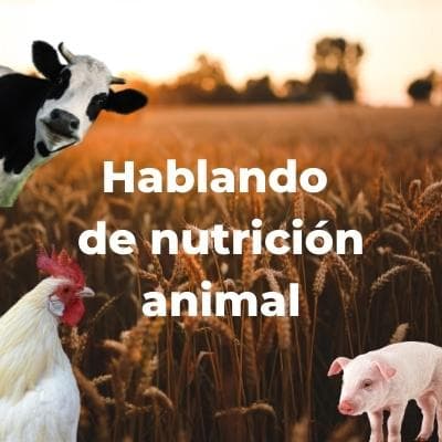 Hablando de nutrición animal