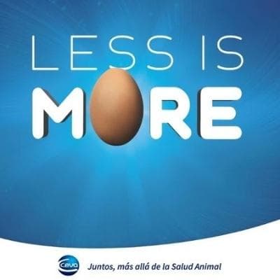 Less is More de CEVA