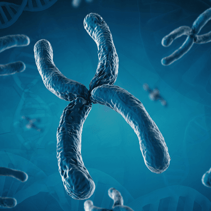 Genética y Reproducción