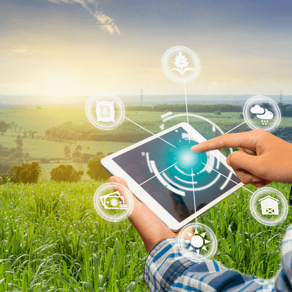 Producción y manejo