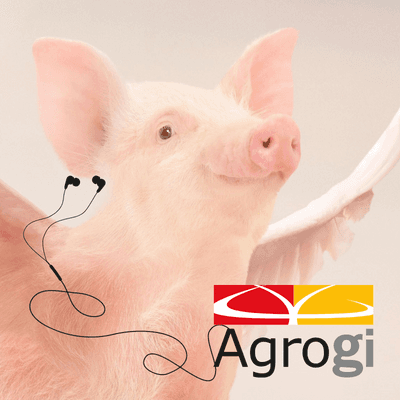 Innovación porcina y retos del futuro con AGROGI