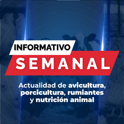 Informativo Semanal