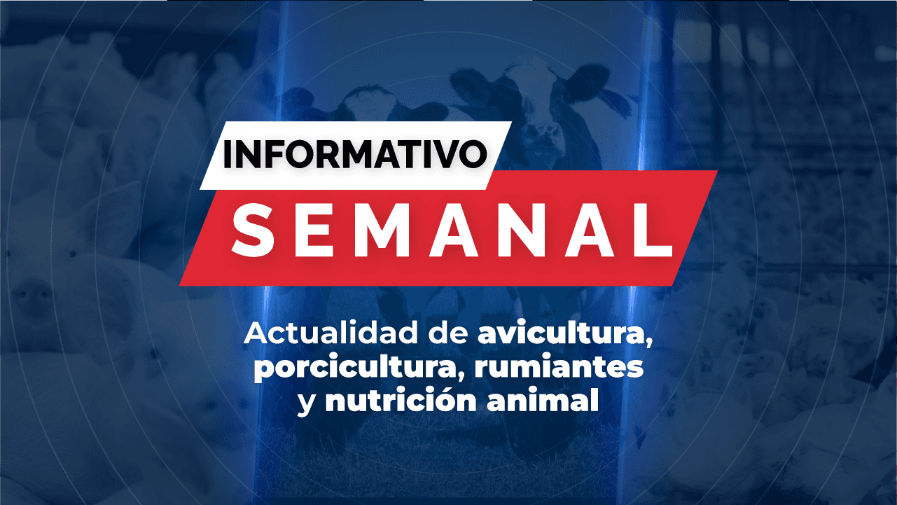 Informativo Semanal